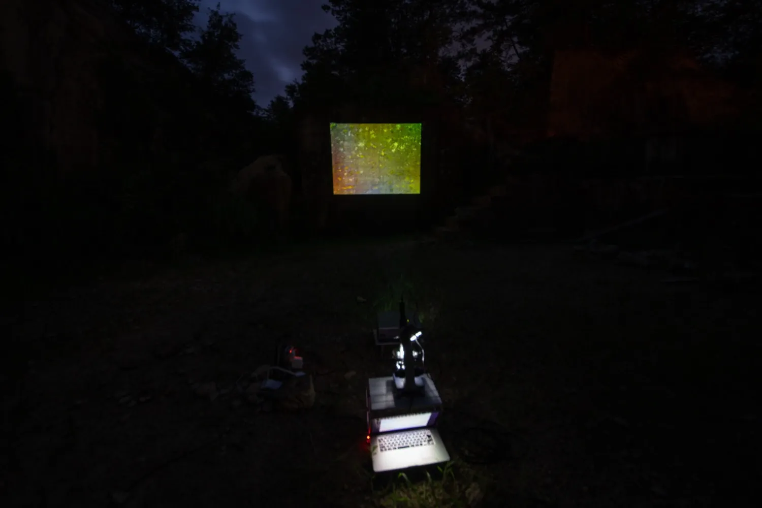 顕微鏡から岩壁にリアルタイムで投影される顕微鏡映像と石井友人